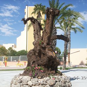 Torrevieja