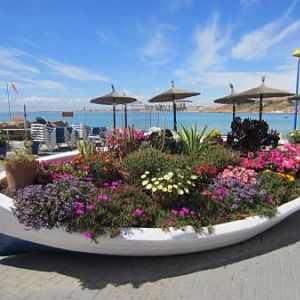 Blombåt, Un Barco Con Flores..