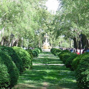 Retiroparken I Madrid