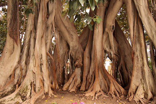 Parque De Miro